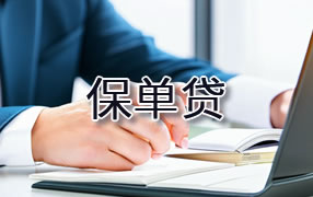 南充保单贷