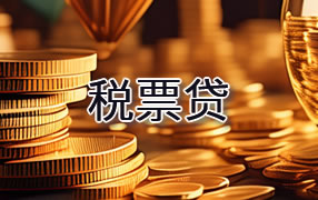 南充税票贷